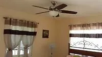 Hotel Rays Bed And Breakfast Hostel Kingston